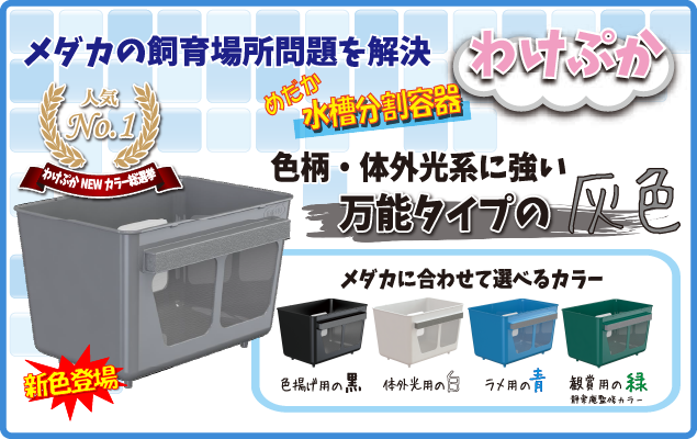 わけぷか