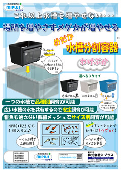 めだか水槽分割容器 わけぷか製品カタログ