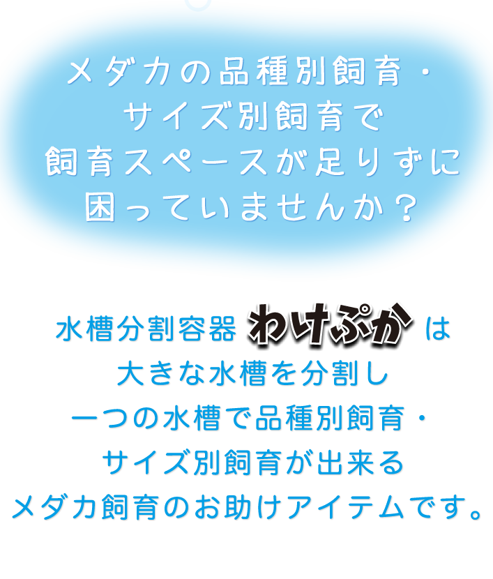 メダカの品種別飼育・サイズ別飼育で
飼育スペースが足りずに困っていませんか？水槽分割容器わけぷかは大きな水槽を分割し一つの水槽で品種別飼育・サイズ別飼育が出来るメダカ飼育のお助けアイテムです。