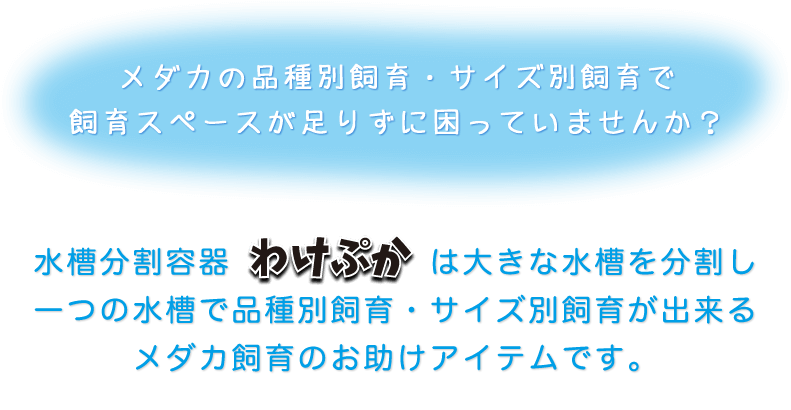 メダカの品種別飼育・サイズ別飼育で
飼育スペースが足りずに困っていませんか？水槽分割容器わけぷかは大きな水槽を分割し一つの水槽で品種別飼育・サイズ別飼育が出来るメダカ飼育のお助けアイテムです。