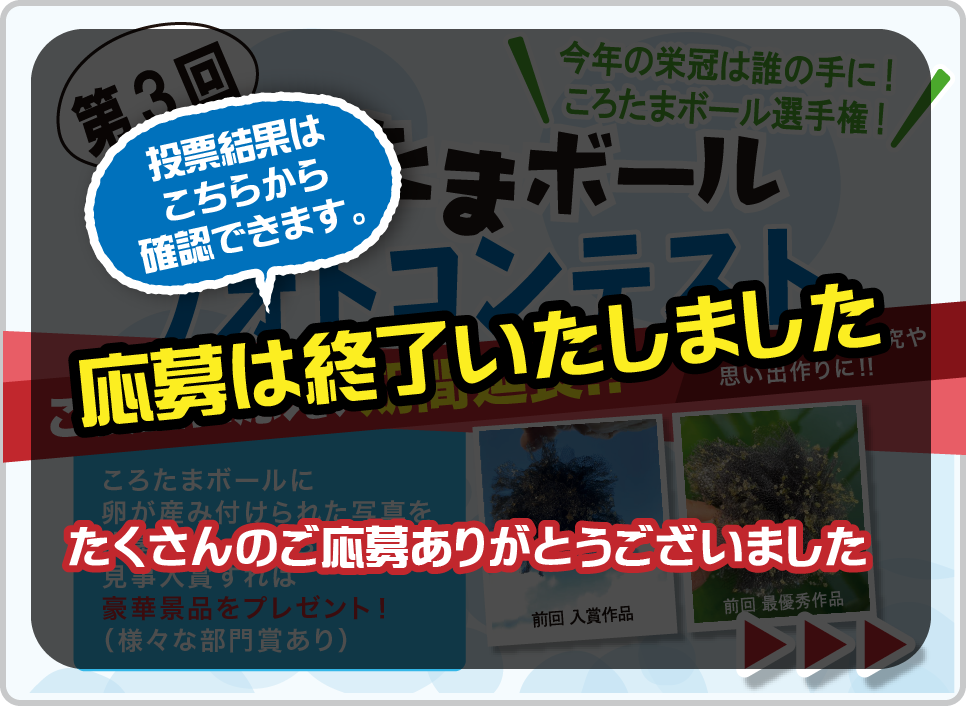 ころたまボールフォトコンテスト