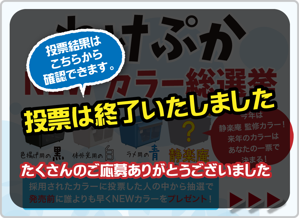 わけぷかNEWカラー総選挙