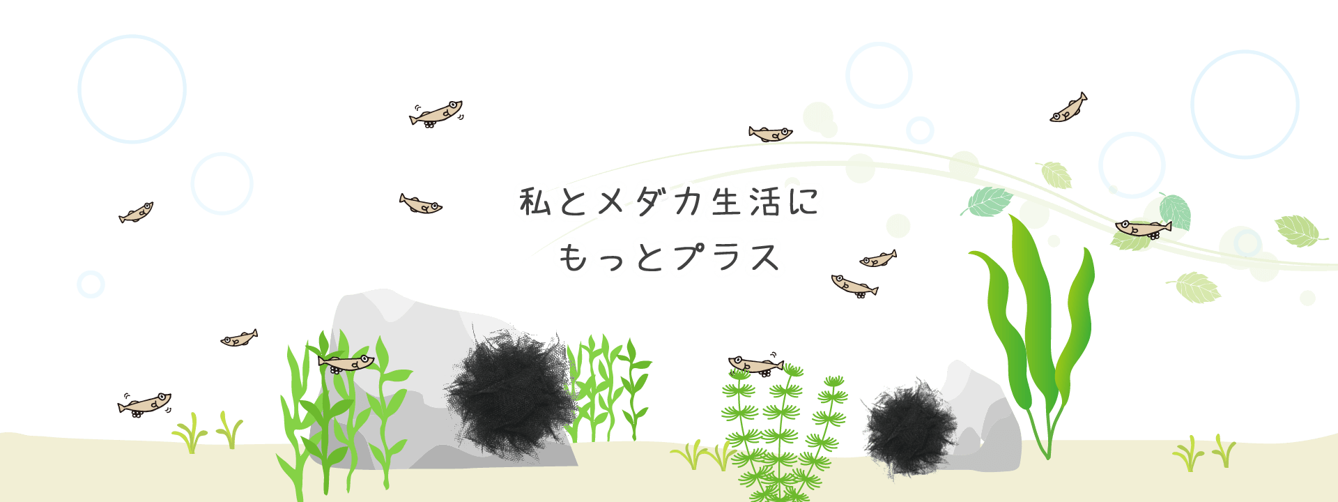ミプラス
